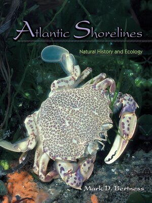 cover image of Atlantic Shorelines